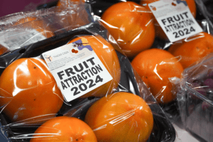 fruit attraction thader cieza