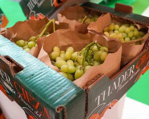 fruit attraction thader cieza